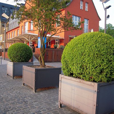 Pflanzkbel Garten